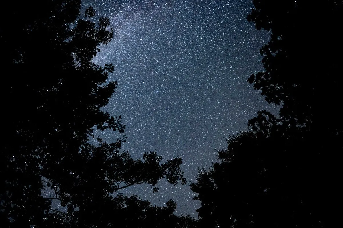 Natural Navigation: Reading the Sky, Sun, and Terrain Without a Map